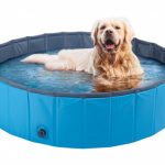 piscina cani lidl
